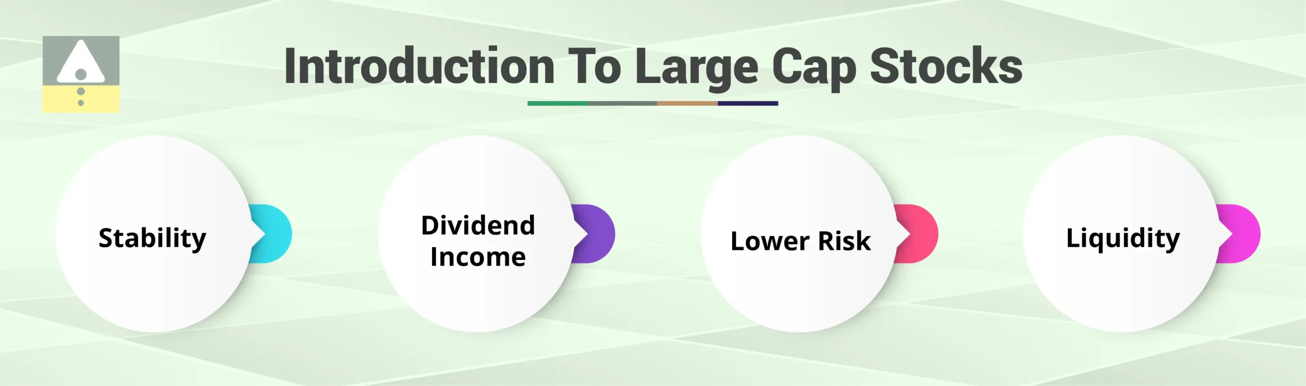 Large Cap Stocks