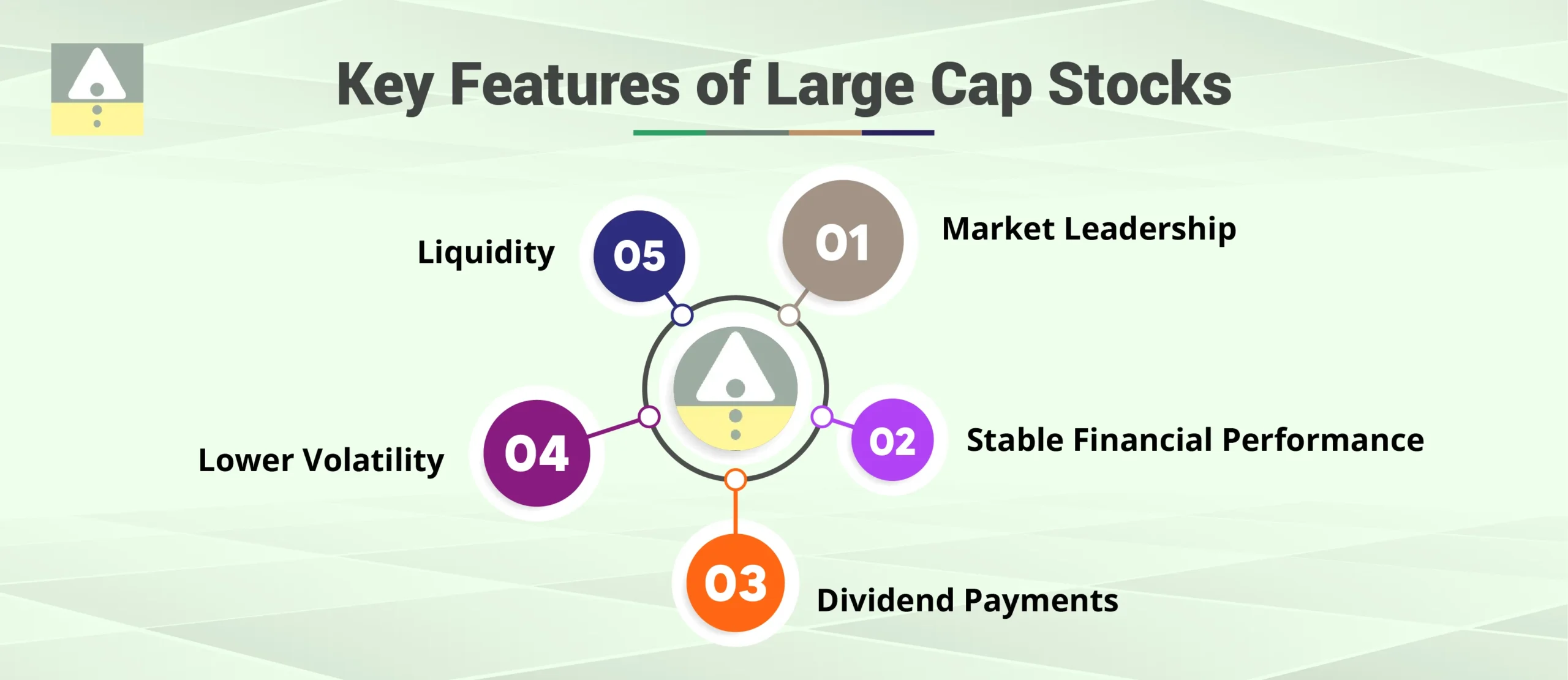 Key Features of Large Cap Stocks