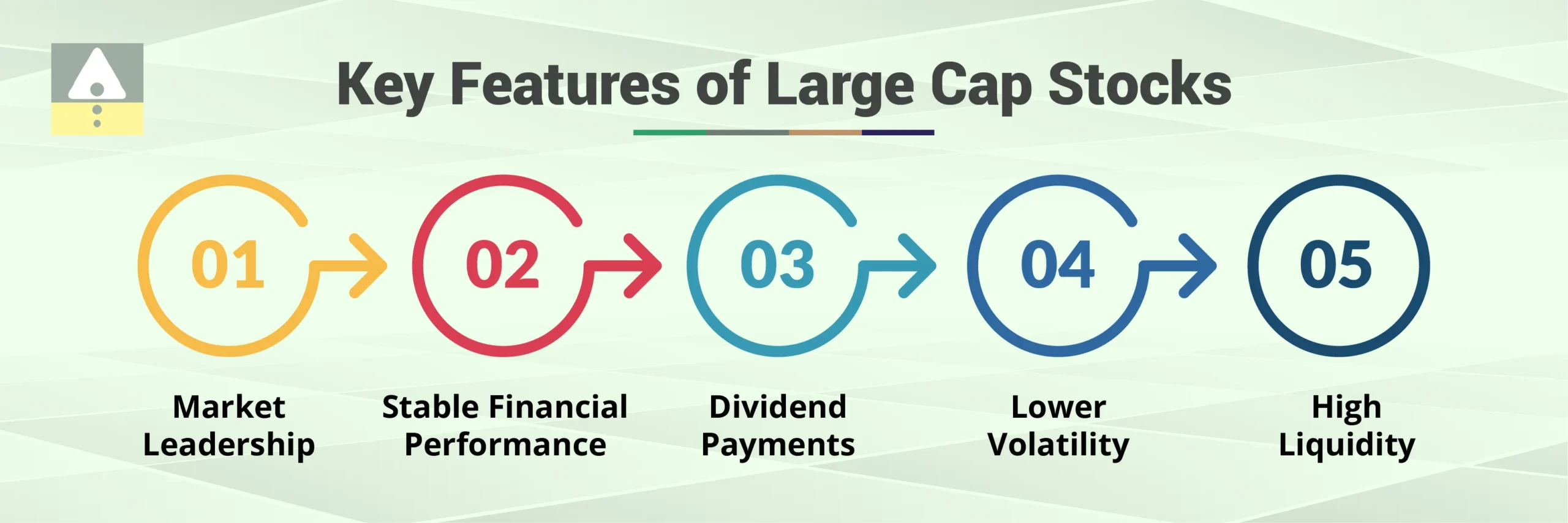 Key Features of Large Cap Stocks