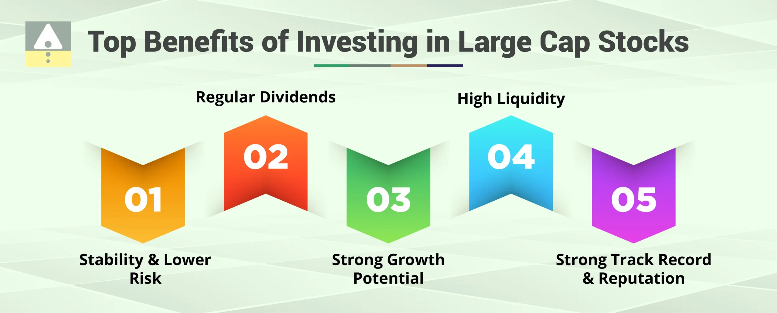 Investing in Large Cap Stocks