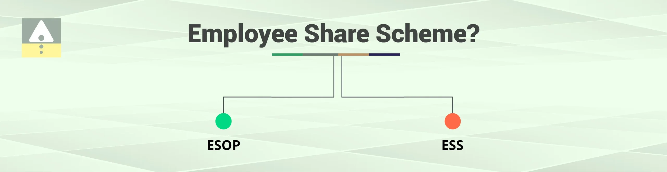 What is the Employee Share Scheme?