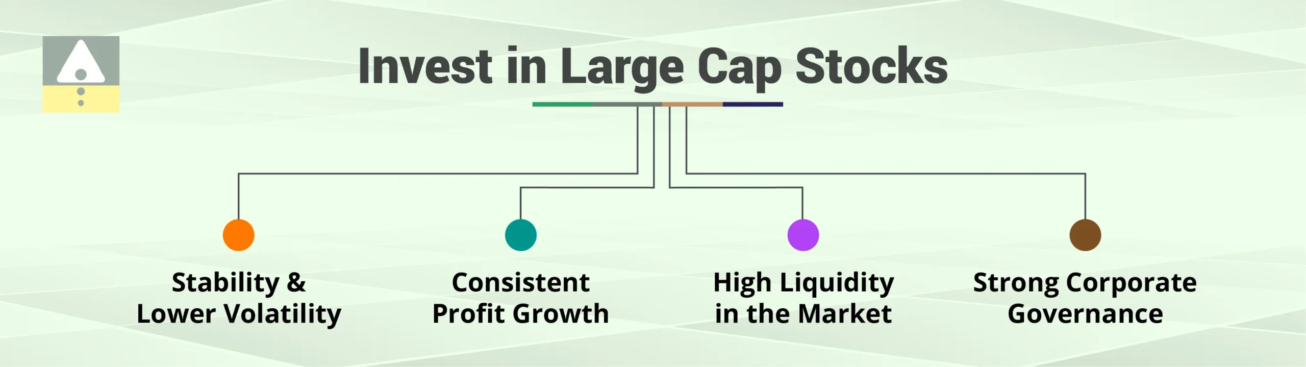 Why Invest in Large Cap Stocks?