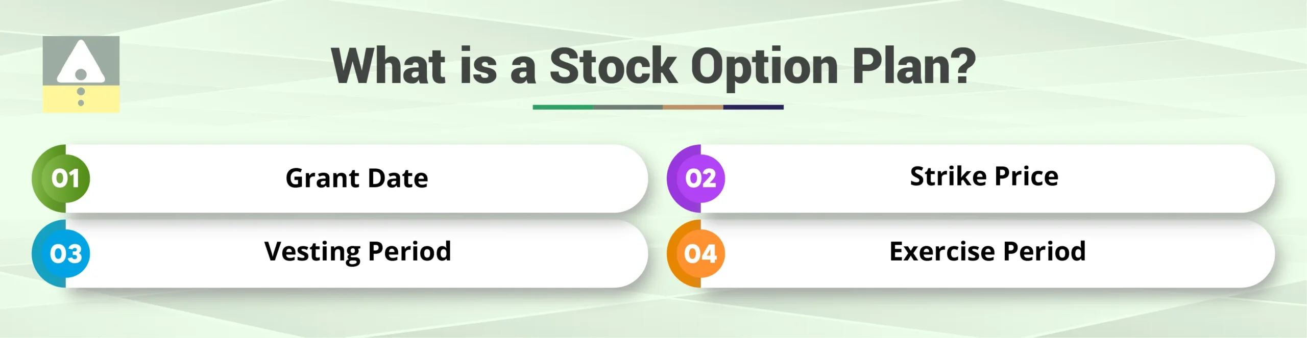 What is a Stock Option Plan?